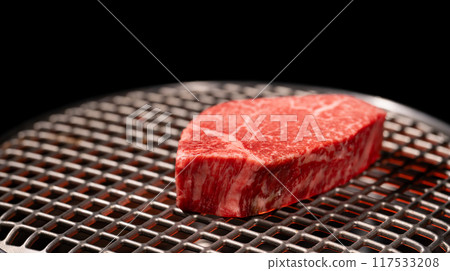 烤肉 烤魚片 烤肉 烤魚片 117533208