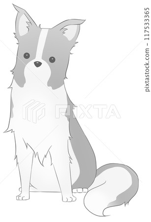 在這裡查看邊境牧羊犬（黑色） 117533365