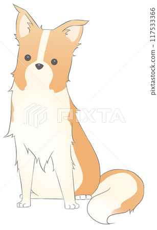 在這裡查看邊境牧羊犬（棕色） 117533366