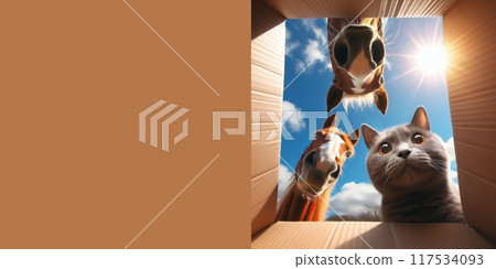 Generated image curious domestic animals looking into a cardboard box, on a sunny day, bottom view from inside the box, against a blue sky 117534093