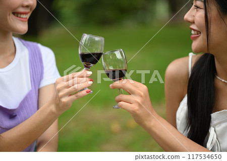 Cheerful beautiful women friends smiling warmly at each other while toasting with glasses of red wine Cheerful beautiful women friends smiling warmly at each other while toasting with glasses of red wine 117534650