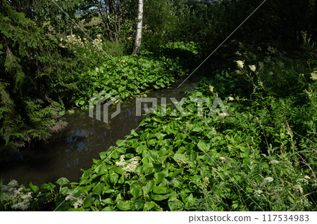 北歐水廠和溪流 北歐水廠和溪流 117534983