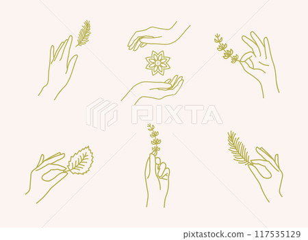 Female Hand with Feather and Spices Thin Line Icon Set. Vector 117535129