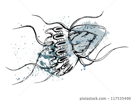 Jellyfish medusa splash Marine life, ocean underwater creature animal, Ink and pen sketch hand drawn. Single object illustration, stylized, isolated on white. Zoo shop, aquarium, cosmetics, resort 117535490