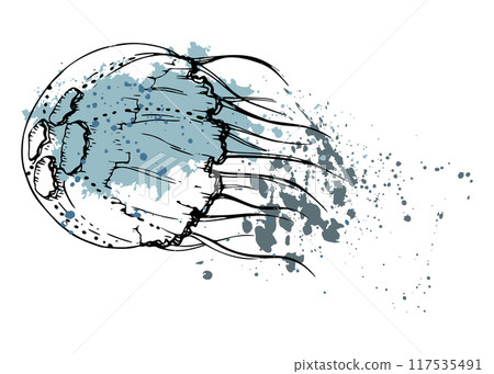 Jellyfish medusa splash Marine life, ocean underwater creature animal, Ink and pen sketch hand drawn. Single object illustration, stylized, isolated on white. Zoo shop, aquarium, cosmetics, resort 117535491