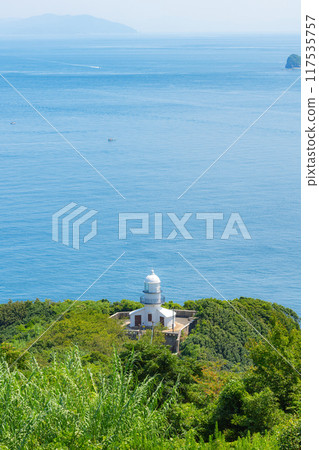 關崎燈塔和東洋海峽 關崎燈塔和東洋海峽 117535757