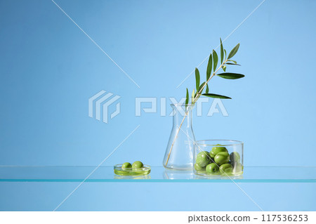Olive essential oil cosmetic advertising, fresh olive contained in glass beaker and petri dish, decorated with a branch of olive in erlenmeyer flask. Front view, space for product displaying 117536253