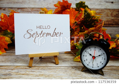 Hello September text with alarm clock and maple leaf decoration on wooden background Hello September text with alarm clock and maple leaf decoration on wooden background 117536359
