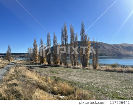 Lake Tekapo, South Island, New Zealand 117536441