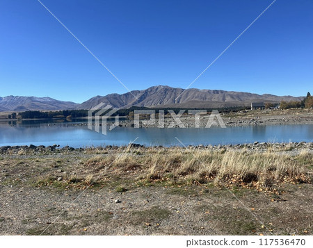 紐西蘭南島特卡波湖 紐西蘭南島特卡波湖 117536470