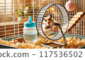 倉鼠輪 117536502