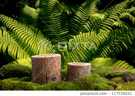 Natural style. Wooden cut, two wooden podiums with green moss against 117536832