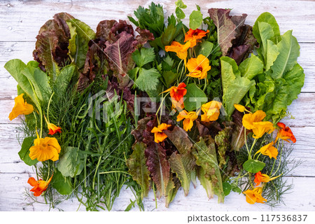 Edible greenery and orange flowers nasturtium on a white wooden 117536837