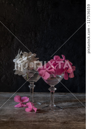 Still life. Hydrangea flowers in small glasses on a black background 117536859