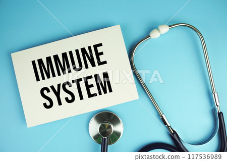 Immune System text on paper card with stethoscope top view on blue background Immune System text on paper card with stethoscope top view on blue background 117536989
