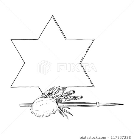 Black and white Sukkot symbolic plants for Jewish holiday with star of David line vector illustration. Four species willow and myrtle branches, etrog citron fruit, palm frond Black and white Sukkot symbolic plants for Jewish holiday with star of David line vector illustration. Four species willow and myrtle branches, etrog citron fruit, palm frond 117537228