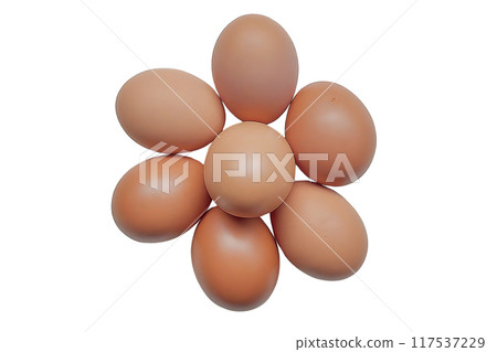 A lot of chicken brown eggs on a white background. A lot of chicken brown eggs on a white background. 117537229