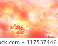 Fantastic red autumn leaves 117537446