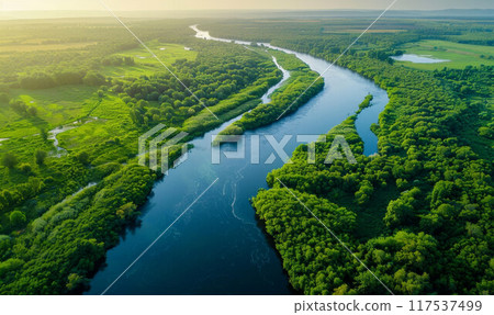 A drone view of the river in the woods. An aerial view of an autumn forest. Winding river among the trees. 117537499