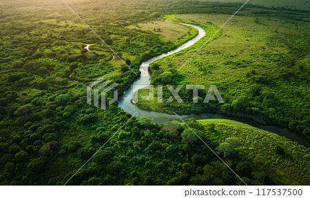 A drone view of the river in the woods. An aerial view of an autumn forest. Winding river among the trees. A drone view of the river in the woods. An aerial view of an autumn forest. Winding river among the trees. 117537500