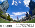 Sapporo Odori Park on a sunny day 117537638