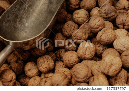 Shelled walnuts and a scoop Shelled walnuts and a scoop 117537797