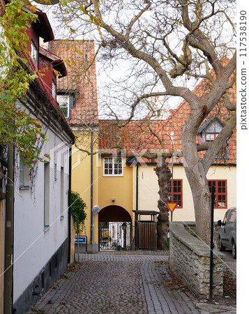 歐洲老城區的一條小巷 117538190
