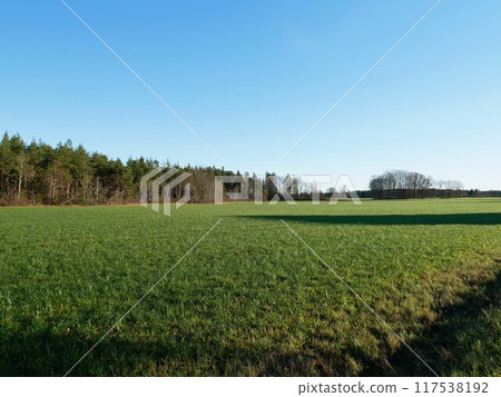 美麗晴朗的天空、森林和步道 117538192