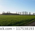 美麗晴朗的天空和美麗的鄉村風景 117538193