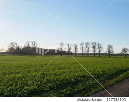 美麗晴朗的天空和美麗的鄉村風景 117538193