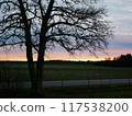 美麗的日落和一棵大樹的剪影 117538200