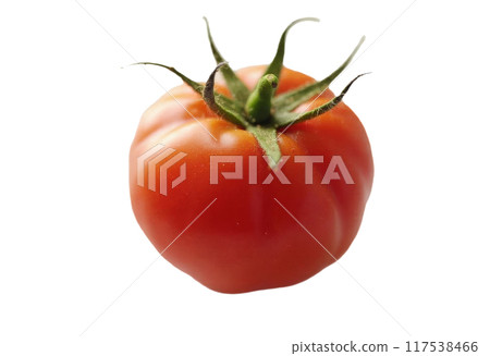 Tomato set. Red tomato collection. Realistic tomatoes on isolared transparent background 117538466