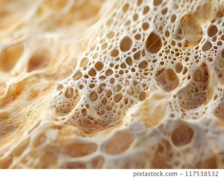 Detailed Close Up Skin Texture Showcasing Natural Epidermis Beauty in Medical Realism 117538532