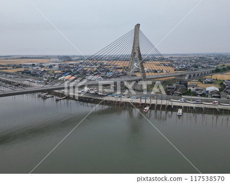 Aerial view of the Yabegawa Ohashi concrete cable-stayed bridge 117538570
