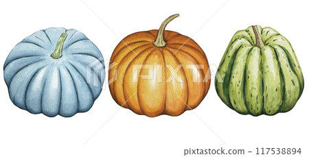Set with pumpkins, green, orange, blue, watercolor illustration 117538894