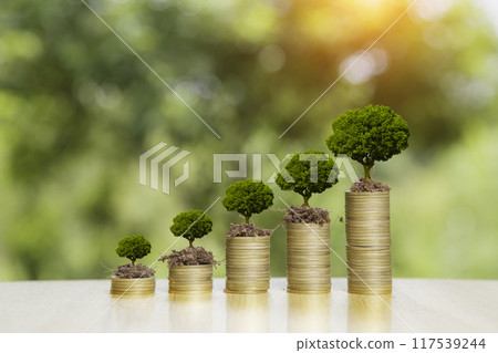 idea growing. Green tree growing on gold coins. Growing power of compound interest. Prosperous stock investment. Savings. Financial graph showing inflation. stock market chart growth investment. idea growing. Green tree growing on gold coins. Growing power of compound interest. Prosperous stock investment. Savings. Financial graph showing inflation. stock market chart growth investment. 117539244