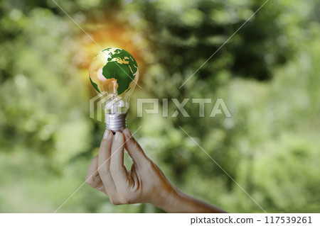 Energy Renewable sustainable. green world in bulb on nature green grass background. light bulb energy sources for renewable. idea innovation inspiration. Net zero emission  Environmental protection. 117539261