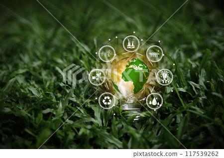 Energy Renewable sustainable. green world in bulb on nature green grass background. light bulb energy sources for renewable. idea innovation inspiration. Net zero emission Environmental protection. Energy Renewable sustainable. green world in bulb on nature green grass background. light bulb energy sources for renewable. idea innovation inspiration. Net zero emission Environmental protection. 117539262