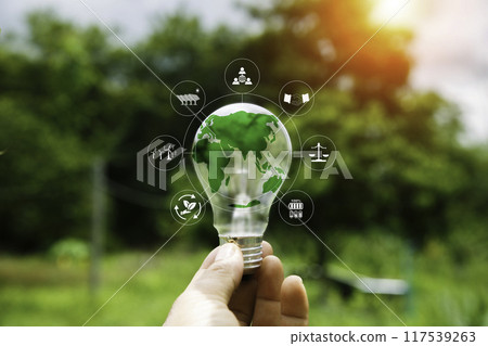Energy Renewable sustainable. green world in bulb on nature green grass background. light bulb energy sources for renewable. idea innovation inspiration. Net zero emission Environmental protection.. Energy Renewable sustainable. green world in bulb on nature green grass background. light bulb energy sources for renewable. idea innovation inspiration. Net zero emission Environmental protection.. 117539263