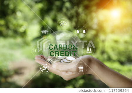 Green energy, Carbon credit market concept. Gold coin in hand with carbon credit icon on top. Net zero in 2050.Green energy icon around it. Carbon Neutral in industry Net zero emission eco energy. Green energy, Carbon credit market concept. Gold coin in hand with carbon credit icon on top. Net zero in 2050.Green energy icon around it. Carbon Neutral in industry Net zero emission eco energy. 117539264