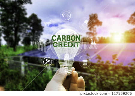 Green Energy Renewable Sustainable. Carbon credit icon in light bulb on green nature and solar energy background. Green energy icon around it. Carbon Neutral in industry Net zero emission eco energy. Green Energy Renewable Sustainable. Carbon credit icon in light bulb on green nature and solar energy background. Green energy icon around it. Carbon Neutral in industry Net zero emission eco energy. 117539266