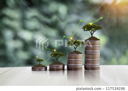 invest concept. Green tree growing on gold coins. Growing power of compound interest. Prosperous stock investment. Savings. Financial graph showing inflation. stock market chart growth investment.. 117539286