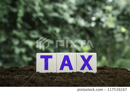 income tax concept. tax icon in box wood on green bokeh. Business success concept, stock investment, wealth, digital transformation for technology. Money saving ideas in the age of virtual technology income tax concept. tax icon in box wood on green bokeh. Business success concept, stock investment, wealth, digital transformation for technology. Money saving ideas in the age of virtual technology 117539287