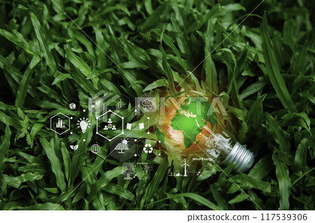 Renewable sustainable green energy icon around light bulb on green grass background. Green energy Renewable that is important to the world. Environmental protection, renewable, sustainable. 117539306