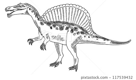 Spinosaurus sketch. Hand drawn prehistoric dinosaur animal Spinosaurus sketch. Hand drawn prehistoric dinosaur animal 117539432