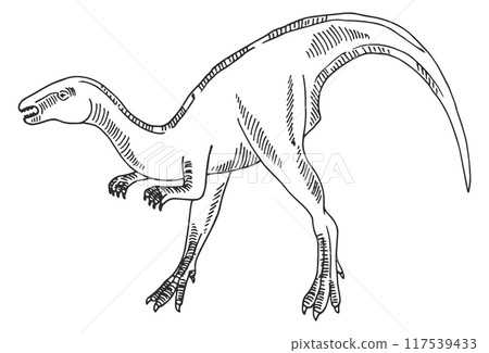 Velociraptor sketch. Hand drawn dinosaur. Ancient animal Velociraptor sketch. Hand drawn dinosaur. Ancient animal 117539433
