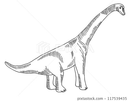 Brachiosaurus sketch. Ancient dinosaur. Jurassic wild reptile 117539435