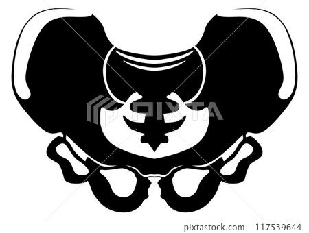 Pelvis bone structure. Human skeletal joint black silhouette Pelvis bone structure. Human skeletal joint black silhouette 117539644