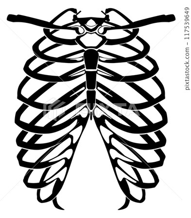 Rib cage silhouette. Black human anatomy bones Rib cage silhouette. Black human anatomy bones 117539649