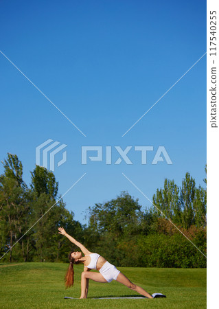 Poster. Woman practices yoga, integrating deep stretches with meditation, promoting her physical flexibility and inner peace. Poster. Woman practices yoga, integrating deep stretches with meditation, promoting her physical flexibility and inner peace. 117540255